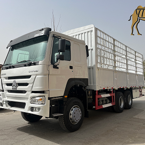Howo 6X4 Cargo Truck