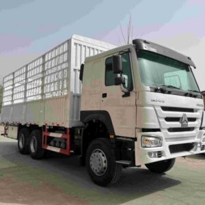 HOWO 10 Tires Cargo Truck