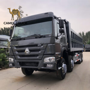 12 Wheels Howo Dump Truck