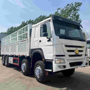 HOWO Cargo Truck