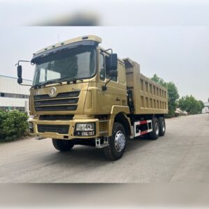 Used Shacman 10 Wheeler Dump Truck