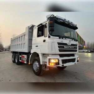 Used Shacman 10 Wheeler Dump Truck