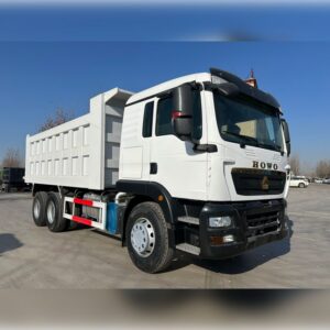 Used 10 Wheeler Howo TX Dump Truck