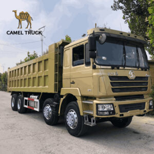 Used Shacman F3000 12 Wheeler Dump Truck