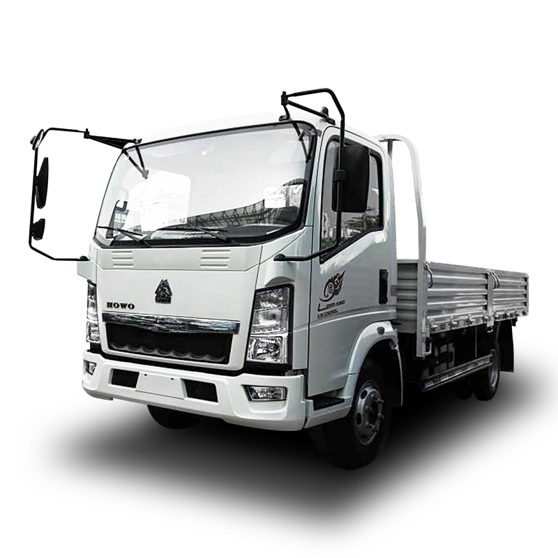 Used Howo Light 4脳2 Dump Truck